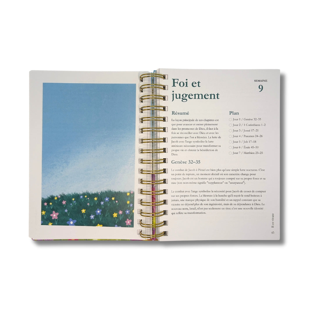 La Bible en un an (précommande)