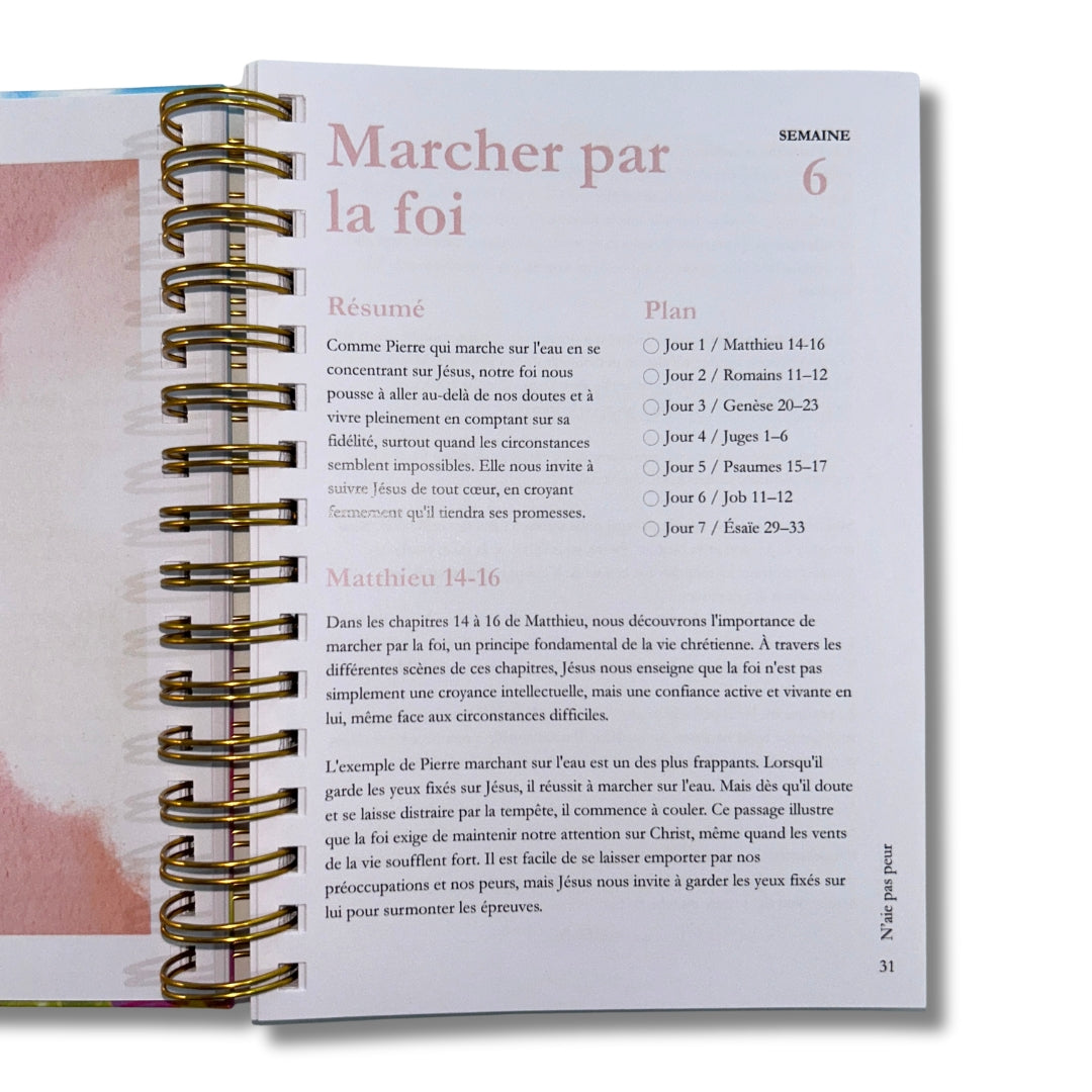 La Bible en un an (précommande)