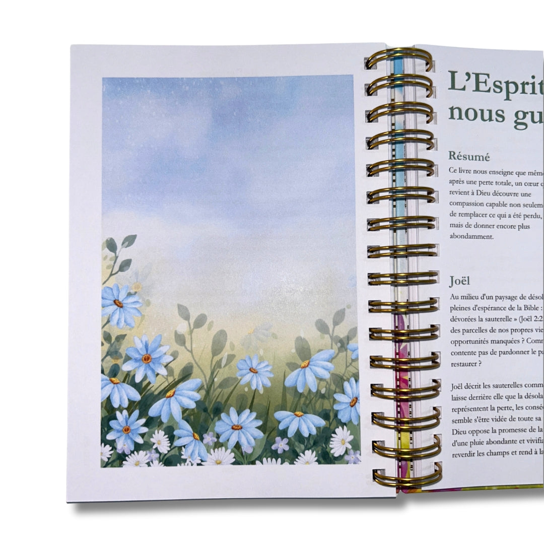 La Bible en un an (précommande)