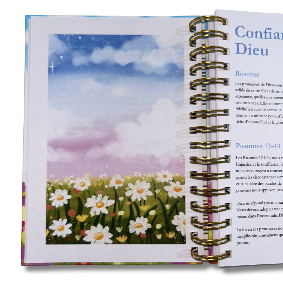 La Bible en un an (précommande)