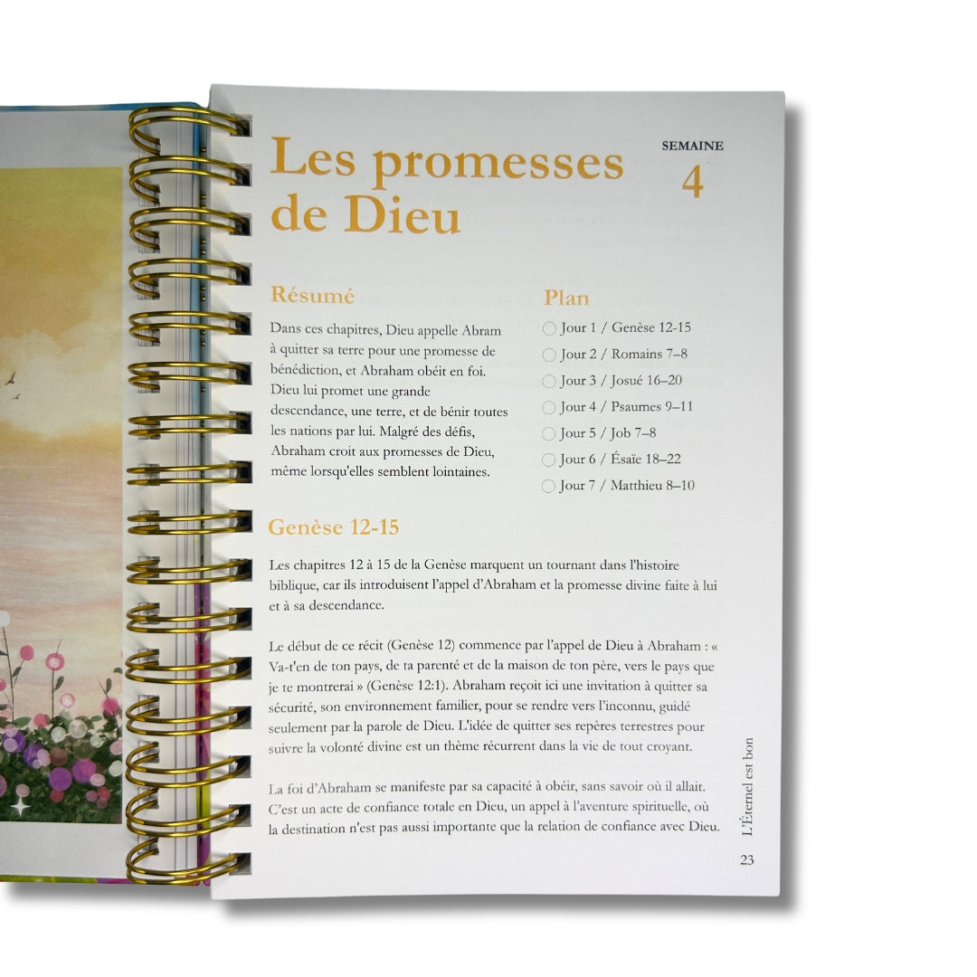 La Bible en un an (précommande)